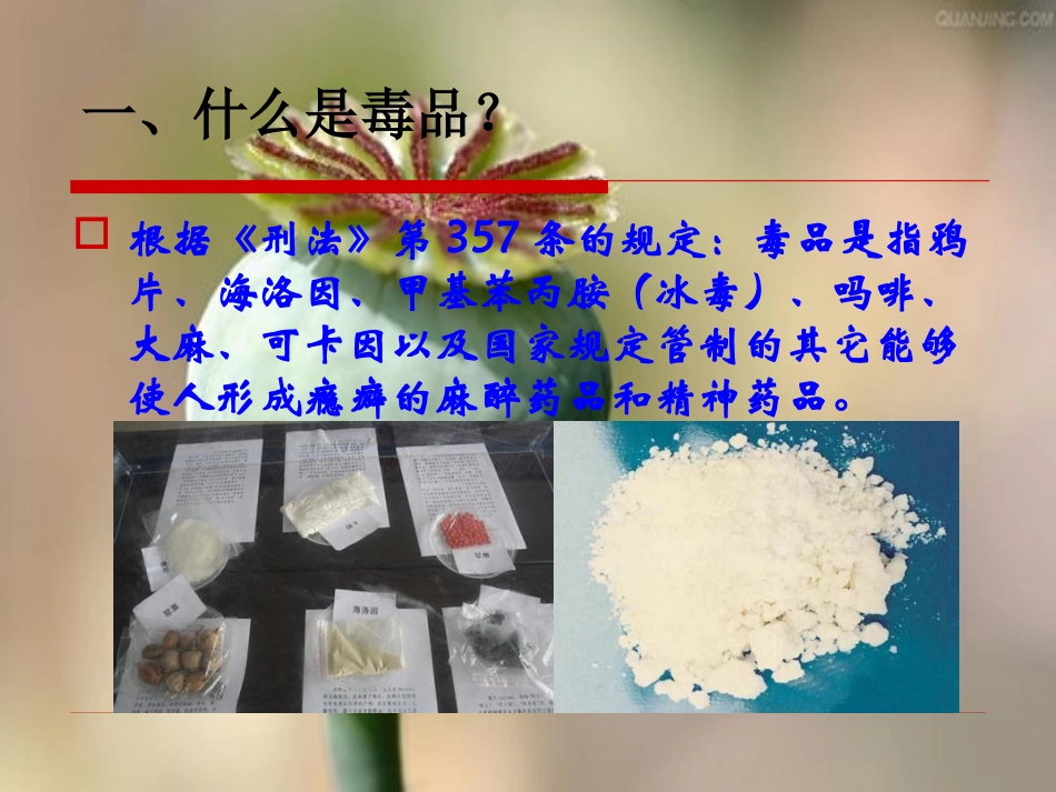 禁毒宣传教育_第2页