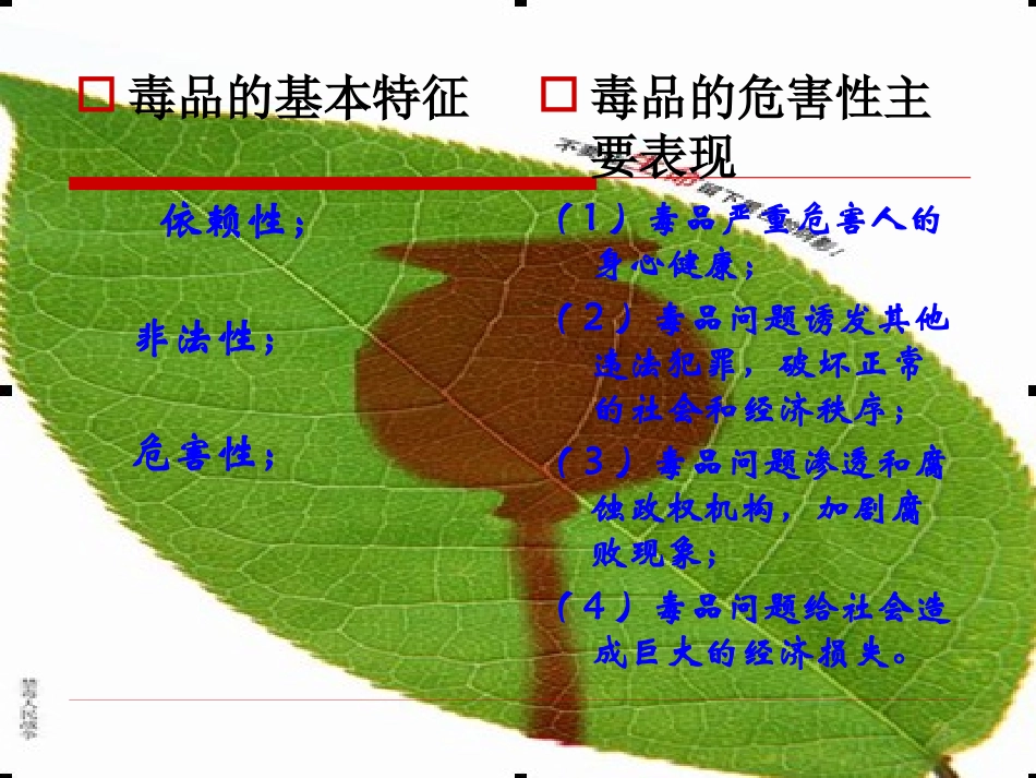 禁毒宣传教育_第3页