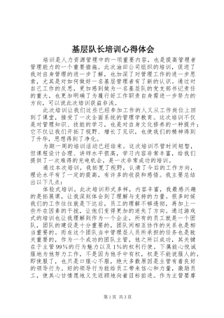 基层队长培训心得体会