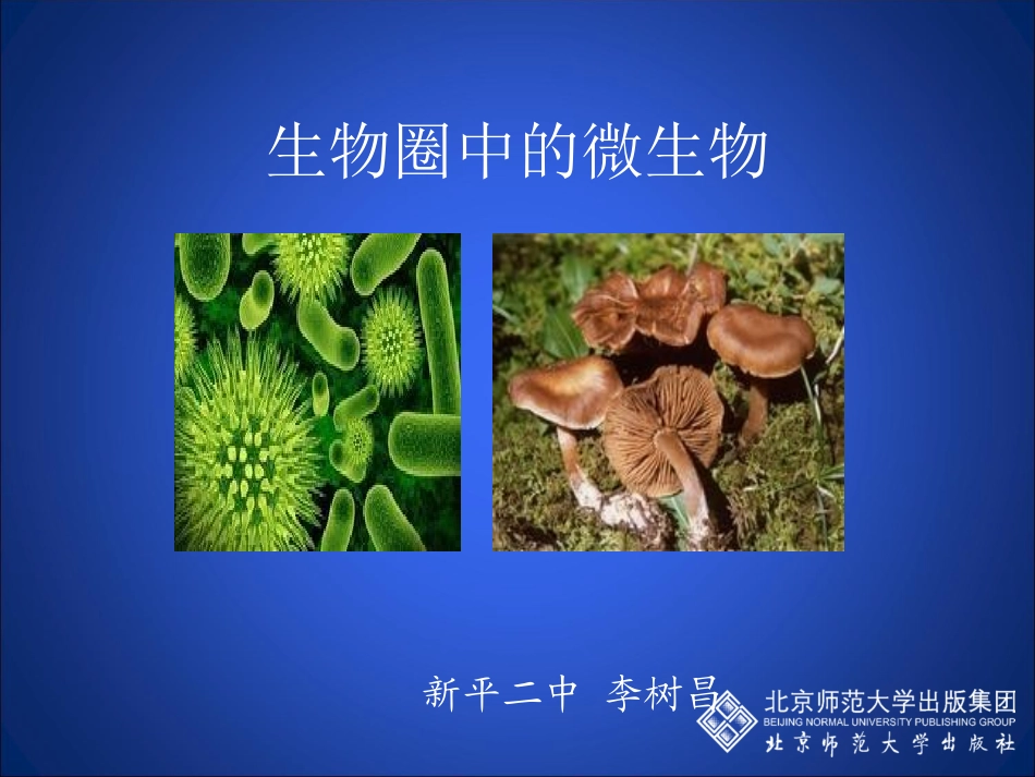 微生物在生物圈中的作用_第1页