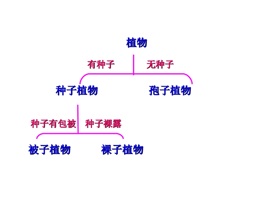 第5节常见的植物第2课时ZL_第3页