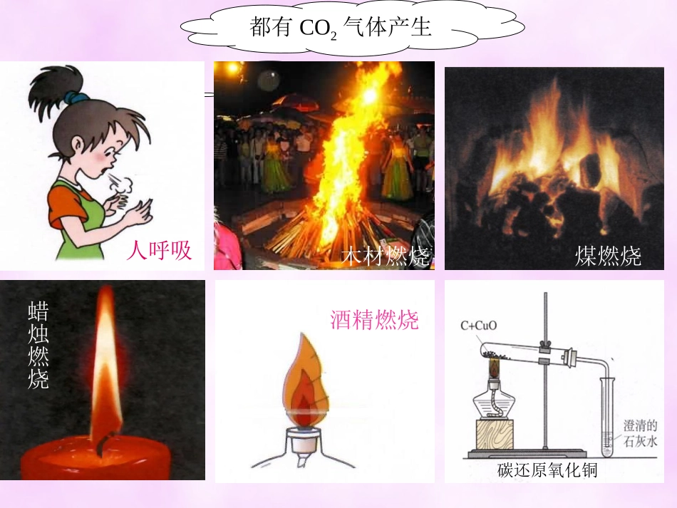 二氧化碳制取的研究课件_第2页