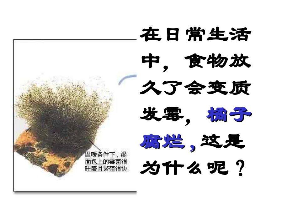 细菌和真菌[wwwedudownnet]11_第2页