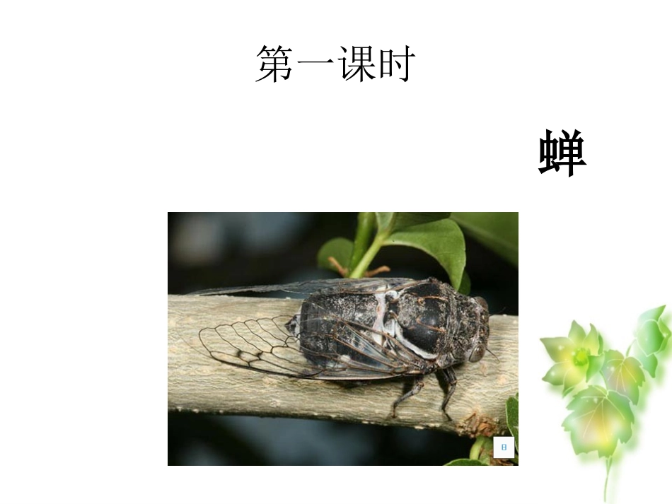 短文两篇文稿新改正_第2页