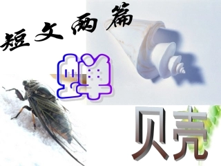 短文两篇文稿新改正