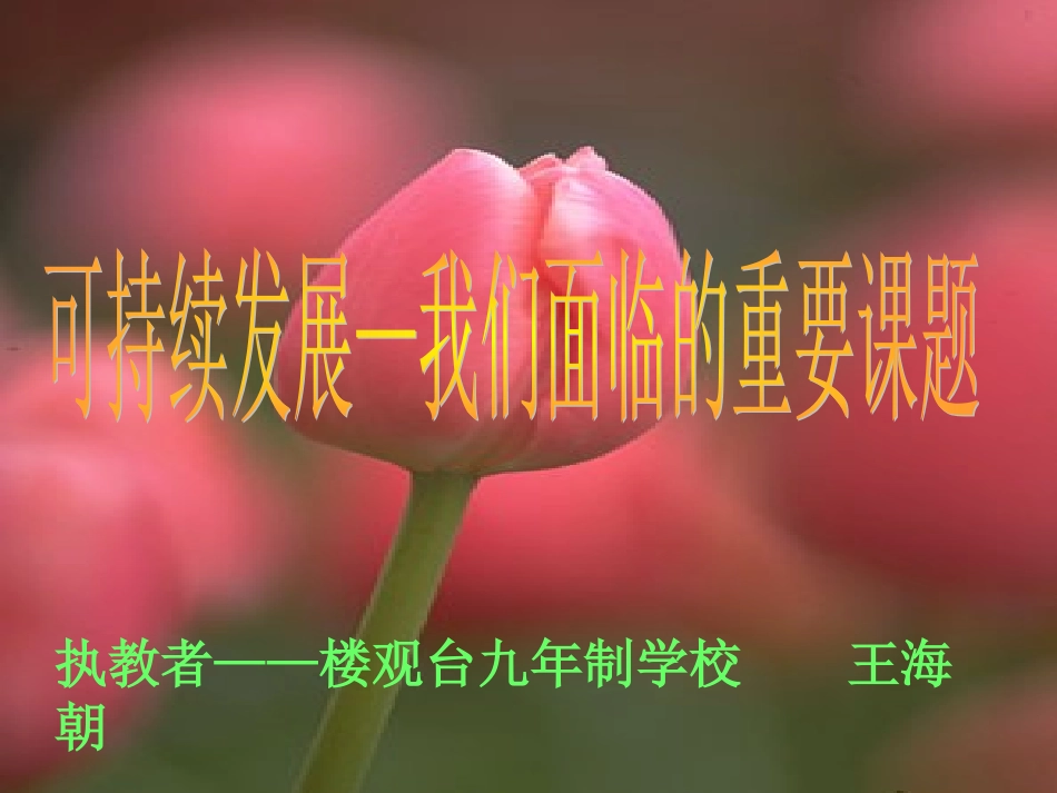 《可持续发展——我们面临的重要课题》_第3页