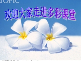 《可持续发展——我们面临的重要课题》