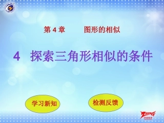 探索三角形相似的条件