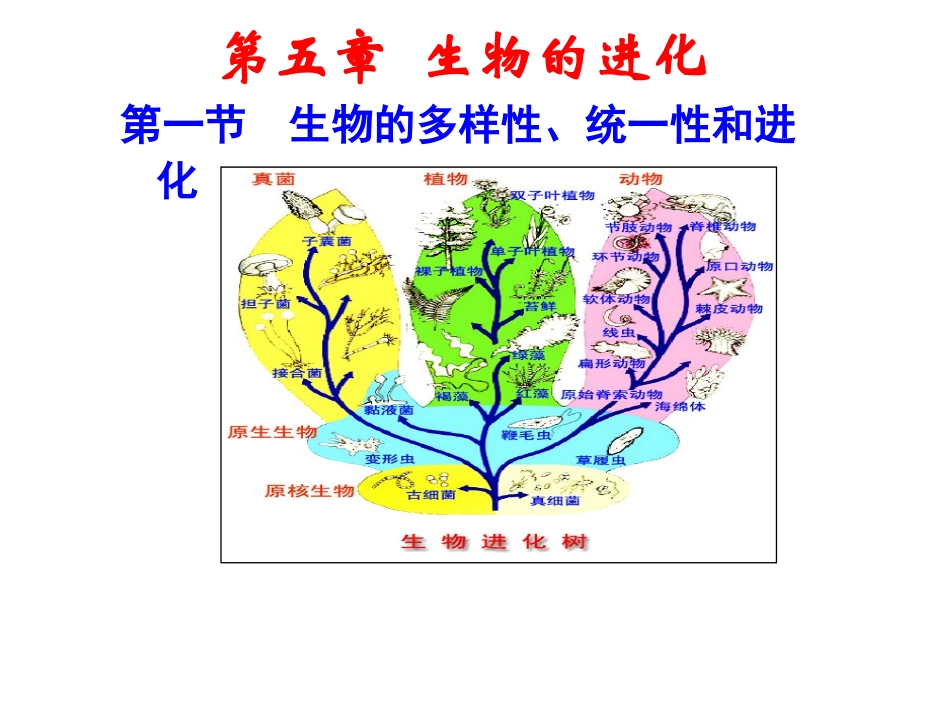 生物的多样性统一性和进化_第1页