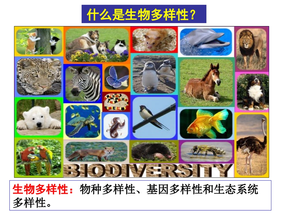 生物的多样性统一性和进化_第3页