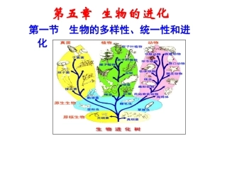 生物的多样性统一性和进化