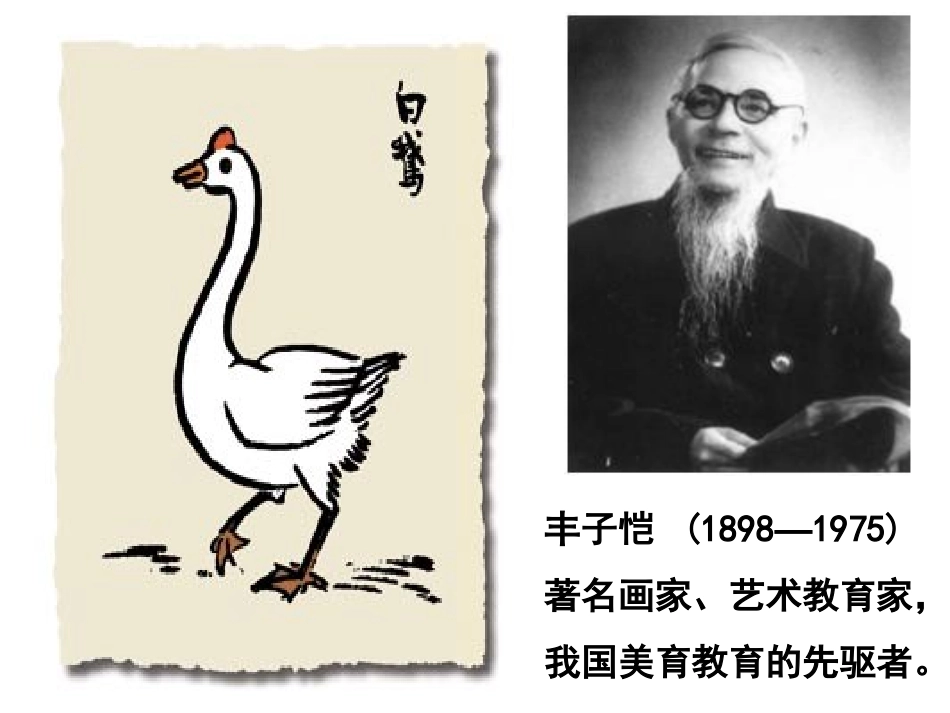 丰云燕《白鹅》课件_第2页