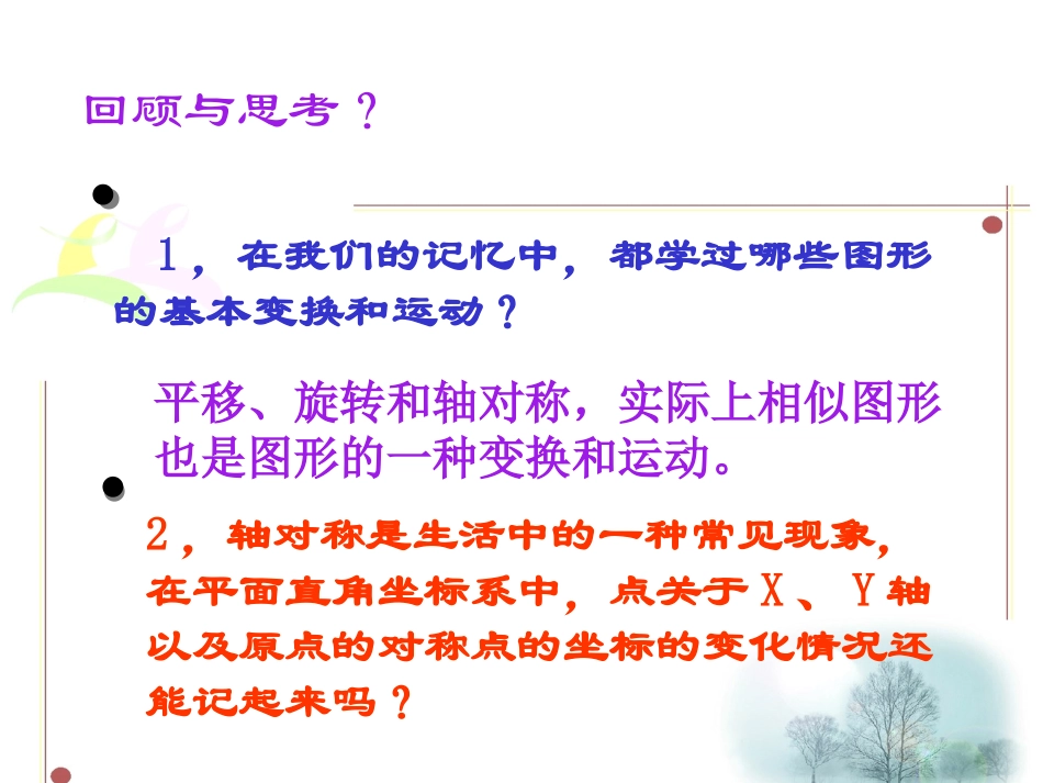 第二课时图形的变换与坐标_第2页