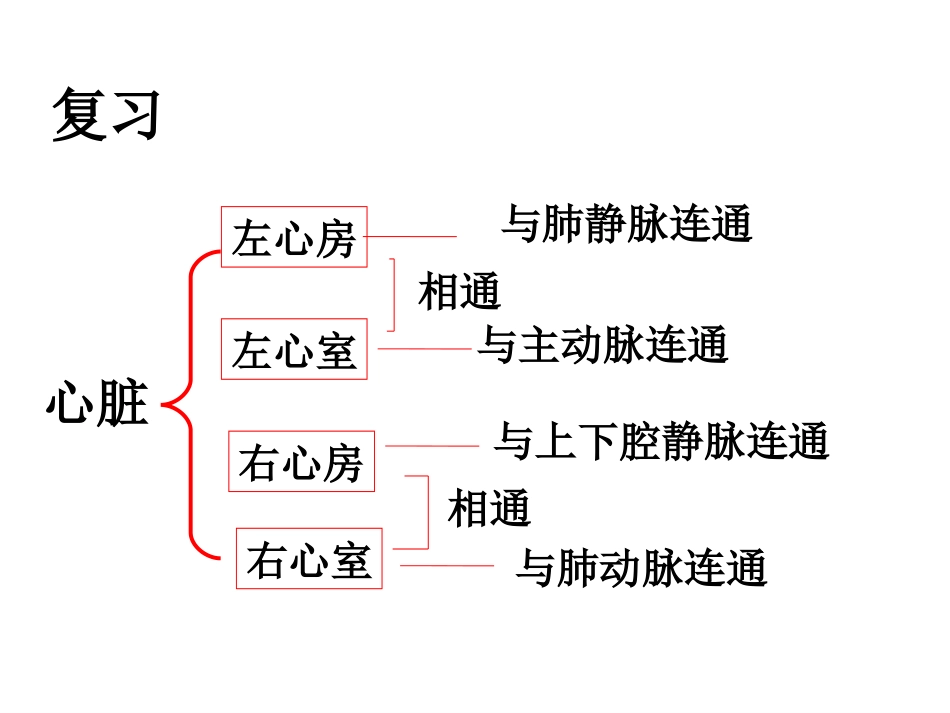 体内物质的运输第三课时血液循环_第2页