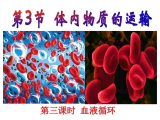 体内物质的运输第三课时血液循环