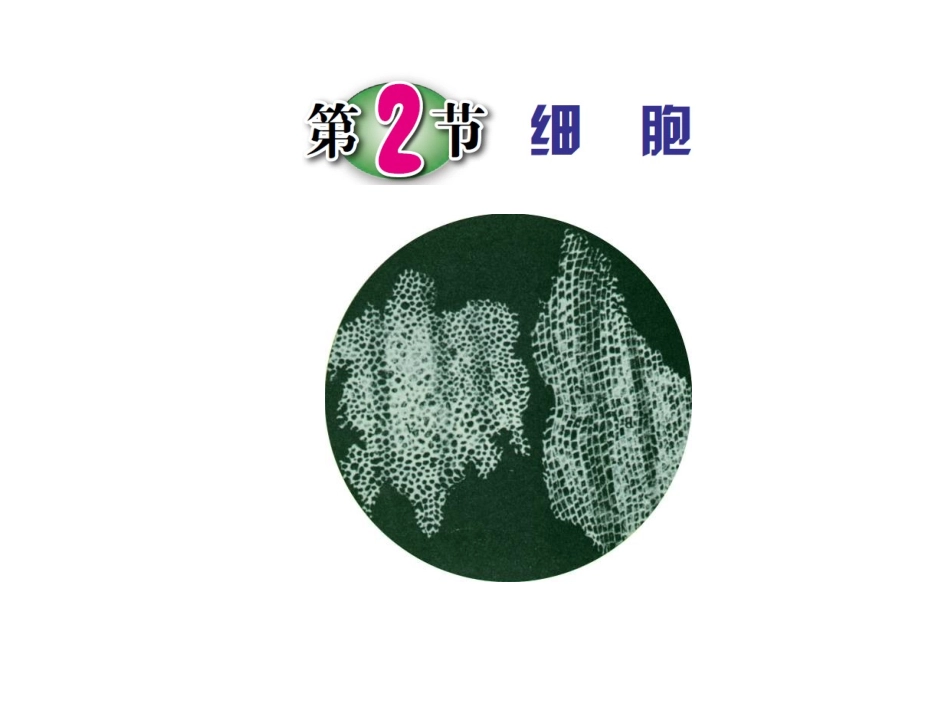 浙教版七年级科学上册课件：22细胞_第1页