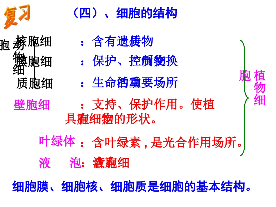 浙教版七年级科学上册课件：22细胞_第2页