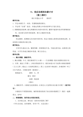 我应该感到自豪才对