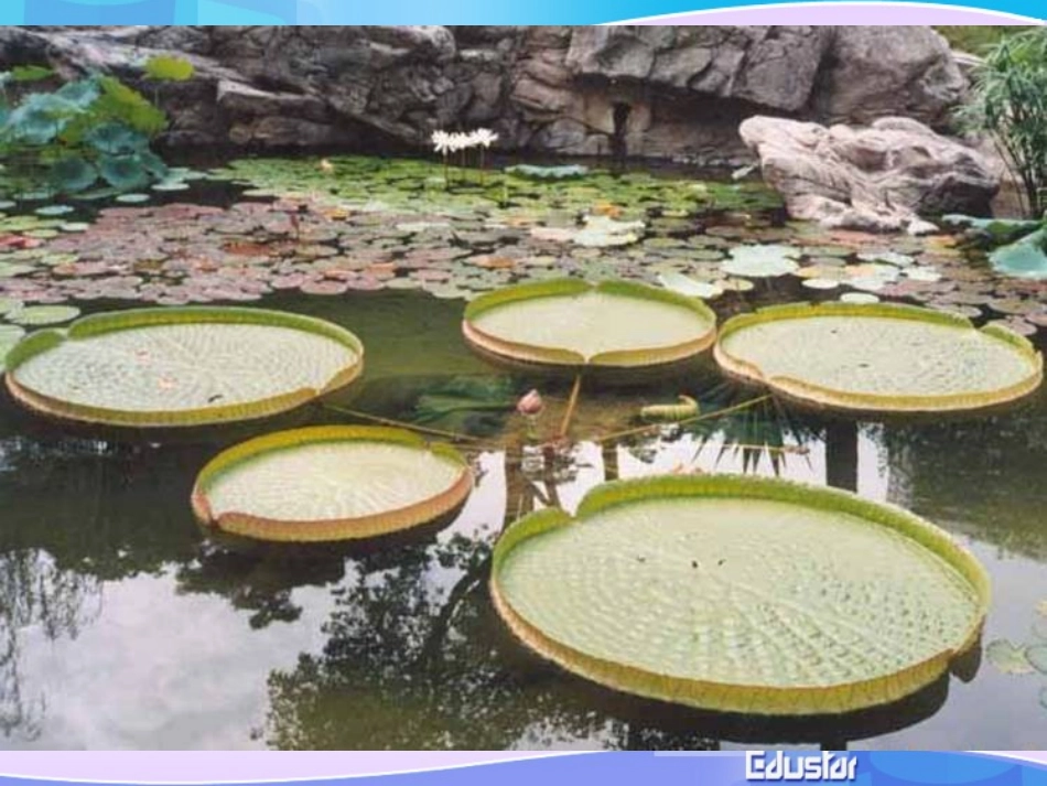 圆的标准方程_第3页