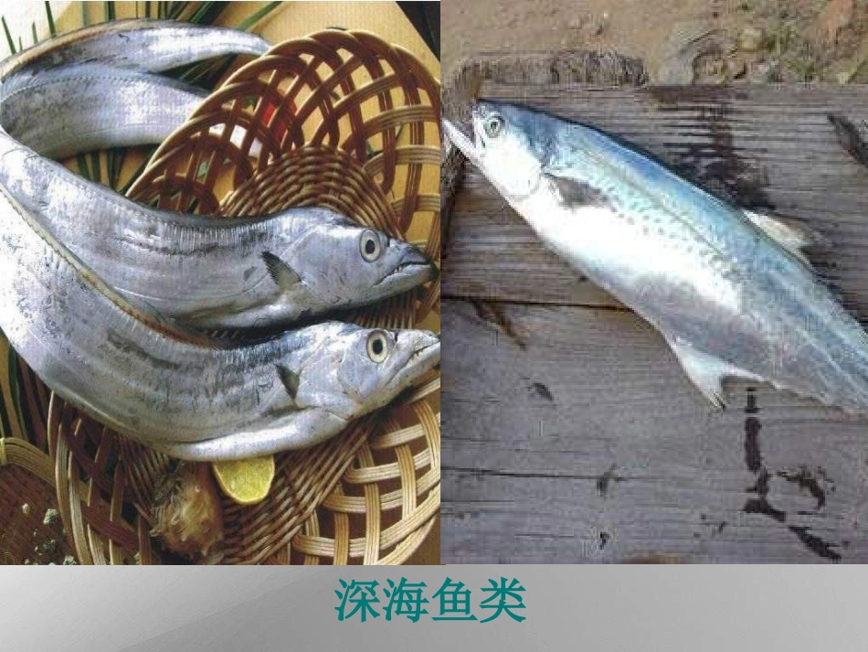 八年级物理液体的压强_第3页