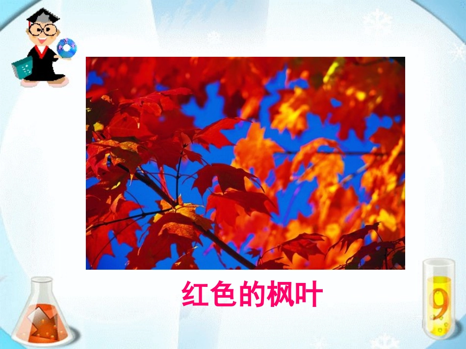 《蓝色的树叶》课件1_第3页