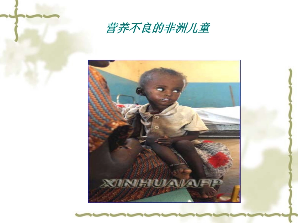 《蛋白质和核酸》课件１_第2页