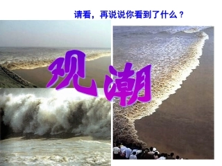 四上第一课《观潮》