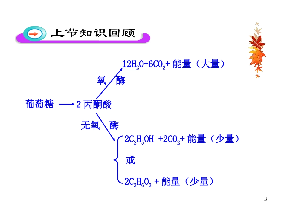 第二课时影响细胞呼吸的因素及在生产实践中的作用_第3页
