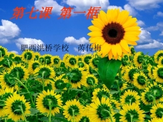 第七课第一框走进法律