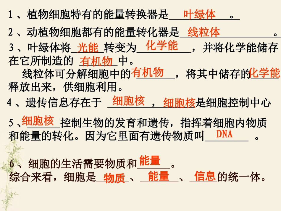 人教版生物七年级上册第二单元第二章第一节细胞通过分裂产生新细胞_第1页