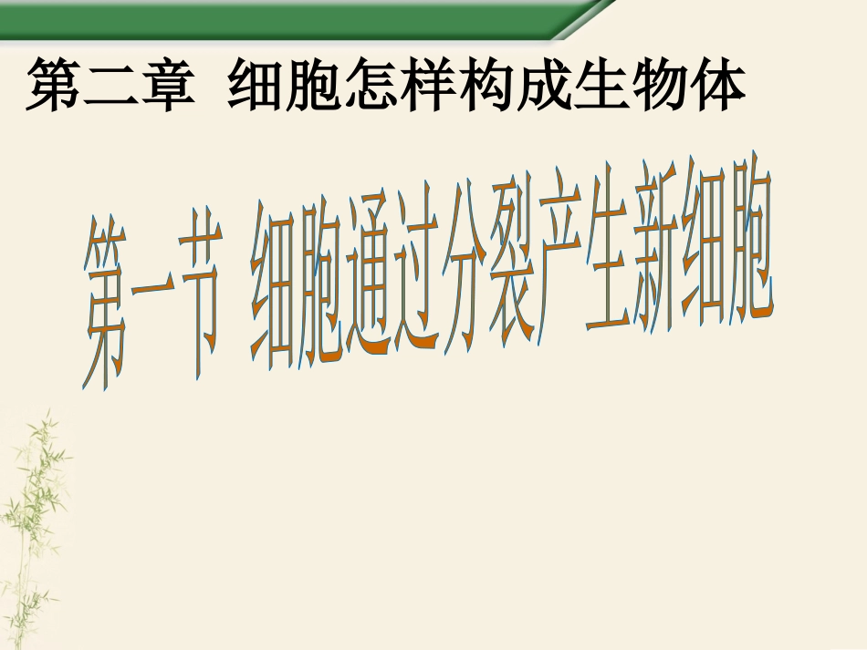 人教版生物七年级上册第二单元第二章第一节细胞通过分裂产生新细胞_第2页