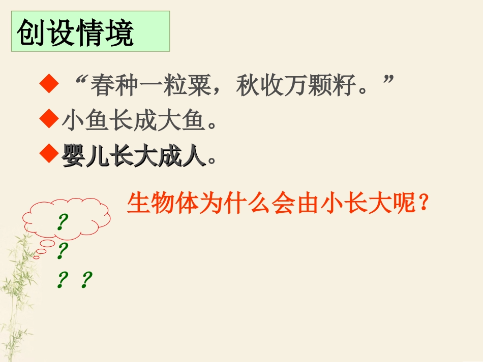 人教版生物七年级上册第二单元第二章第一节细胞通过分裂产生新细胞_第3页