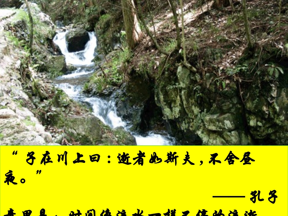 《杜甫诗三首》73（《望岳》《春望》）_第1页