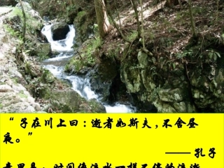 《杜甫诗三首》73（《望岳》《春望》）
