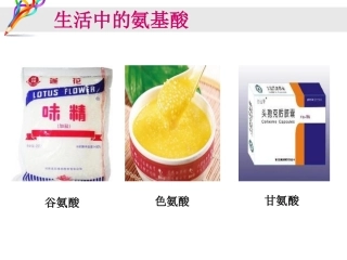 氨基酸的结构