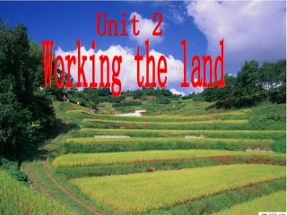 必修四Unit2Workingthelandreading