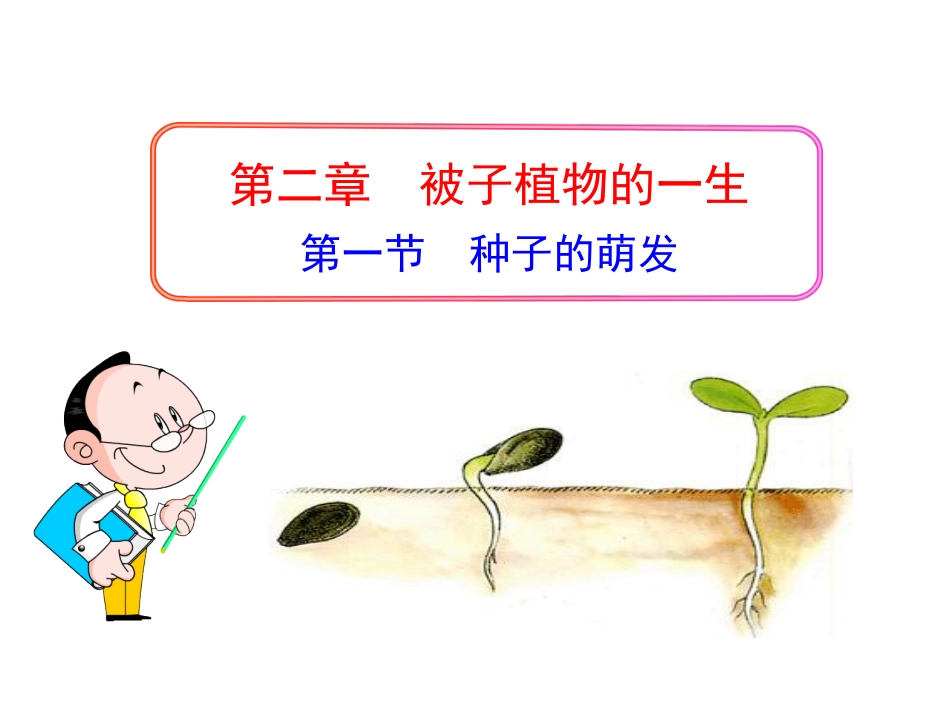 新人教版七年级上册（2012年秋）第三单元+第二章+第一节+种子的萌发（共41张PPT）_第2页