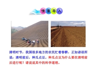 新人教版七年级上册（2012年秋）第三单元+第二章+第一节+种子的萌发（共41张PPT）