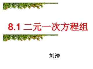 《二元一次方程组》课件1(2)