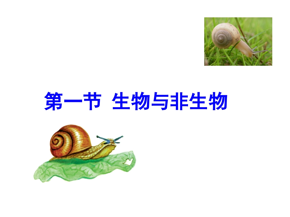 生物与非生物_第1页