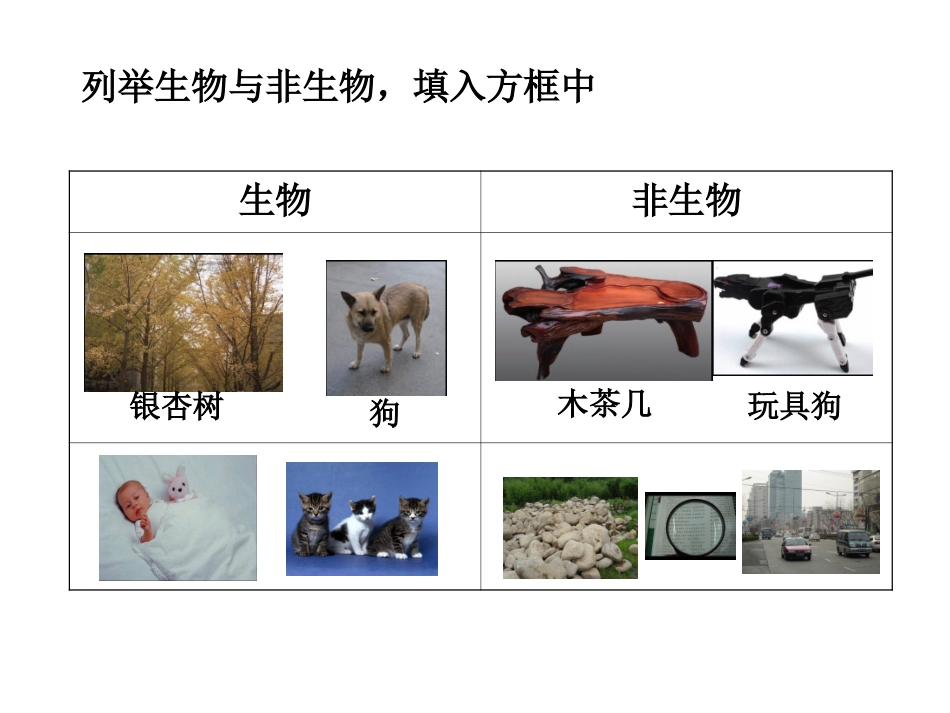 生物与非生物_第2页