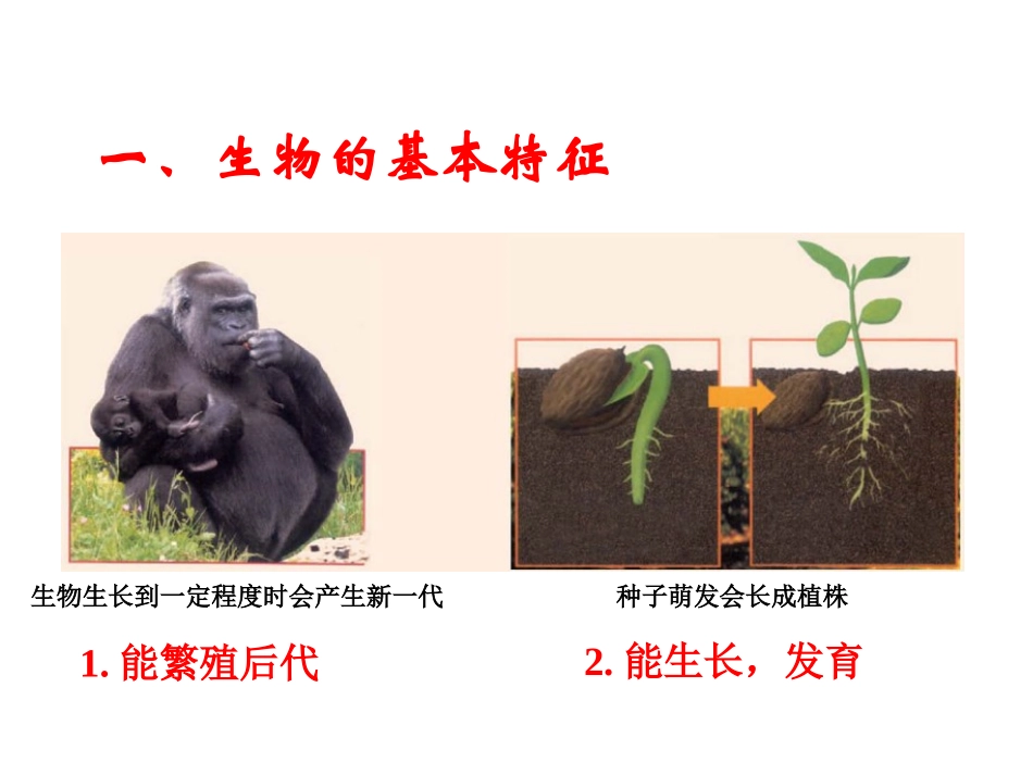生物与非生物_第3页
