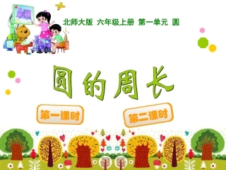 圆的周长 (5)