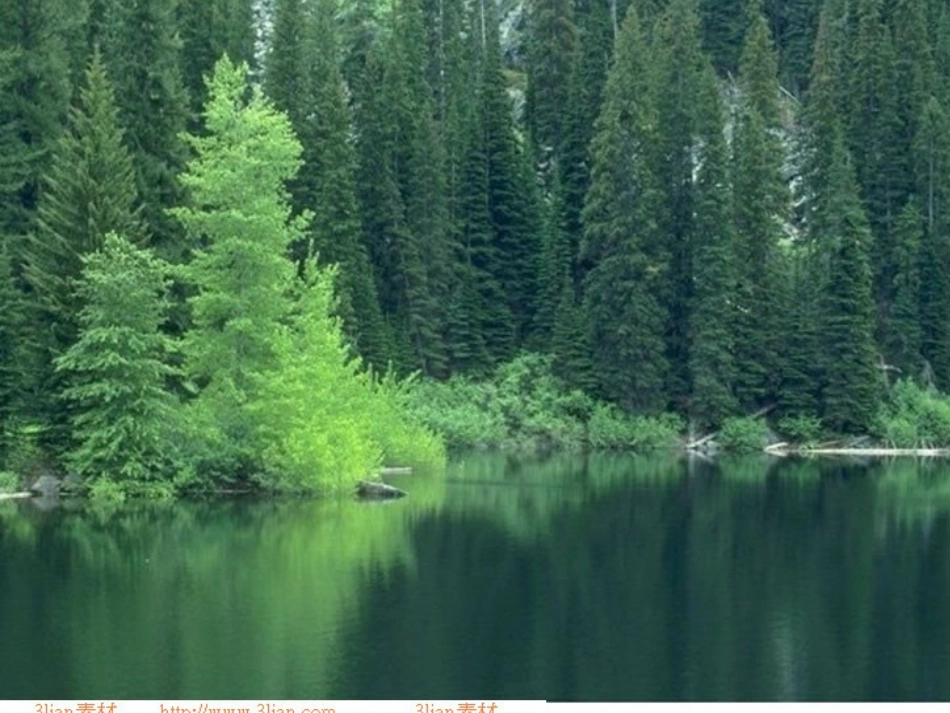 气候专题课件_第2页