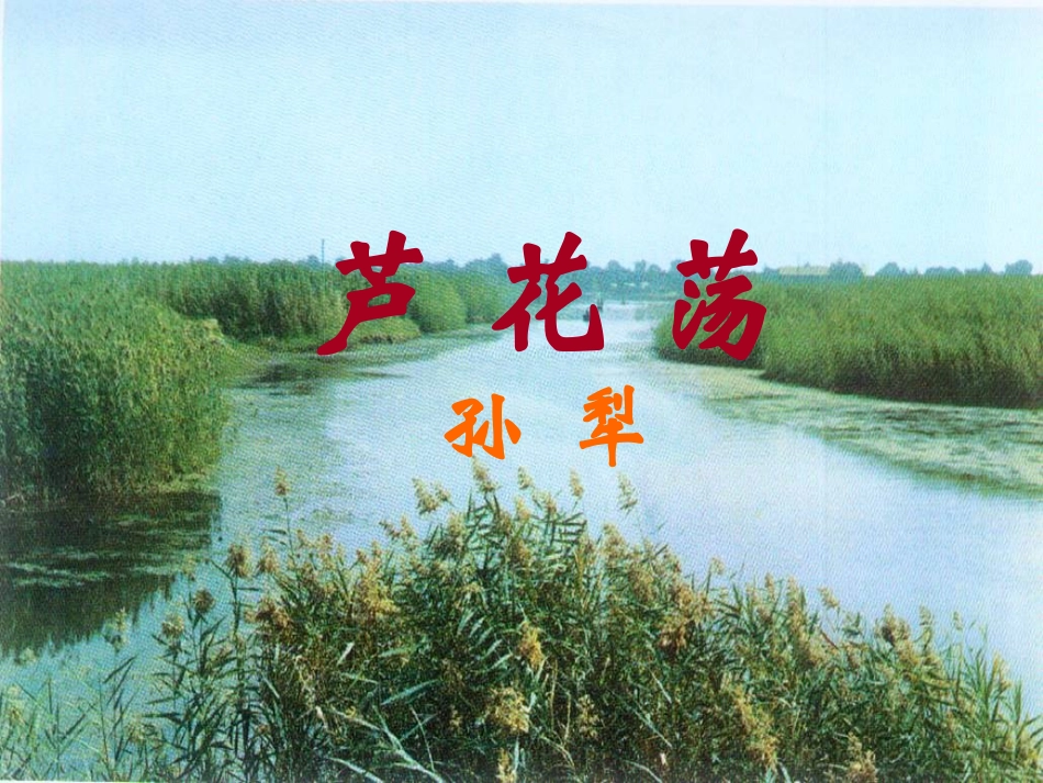 上课《芦花荡》课件_第1页