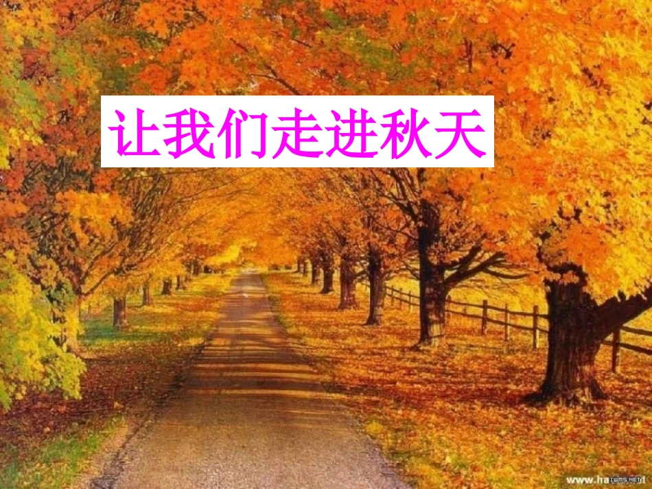 听听，秋的声音_第2页