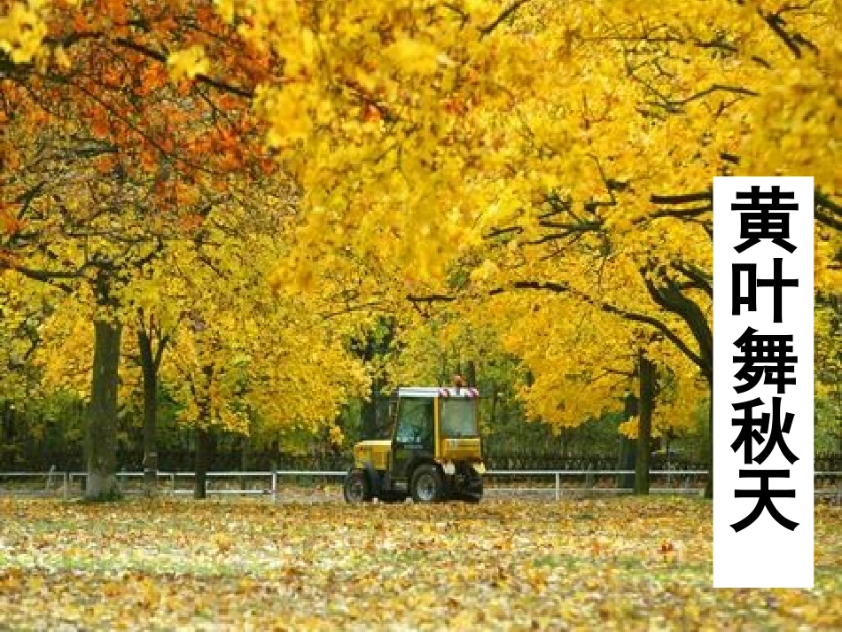 听听，秋的声音_第3页