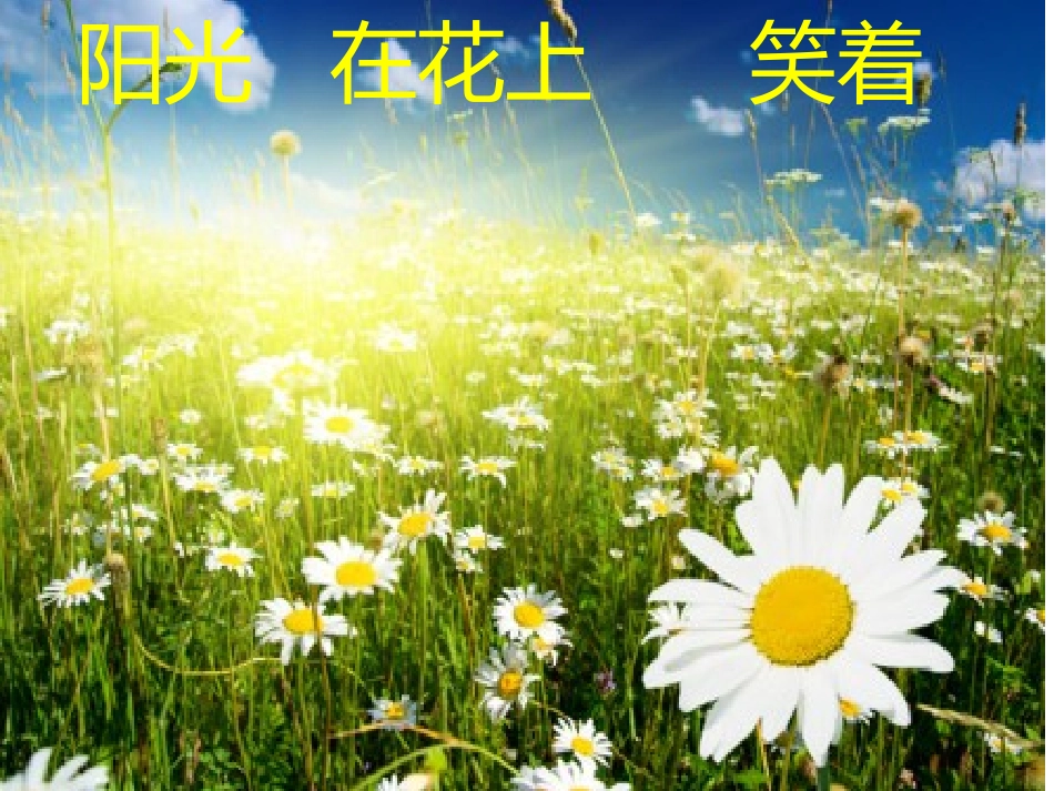 阅读——阳光_第3页