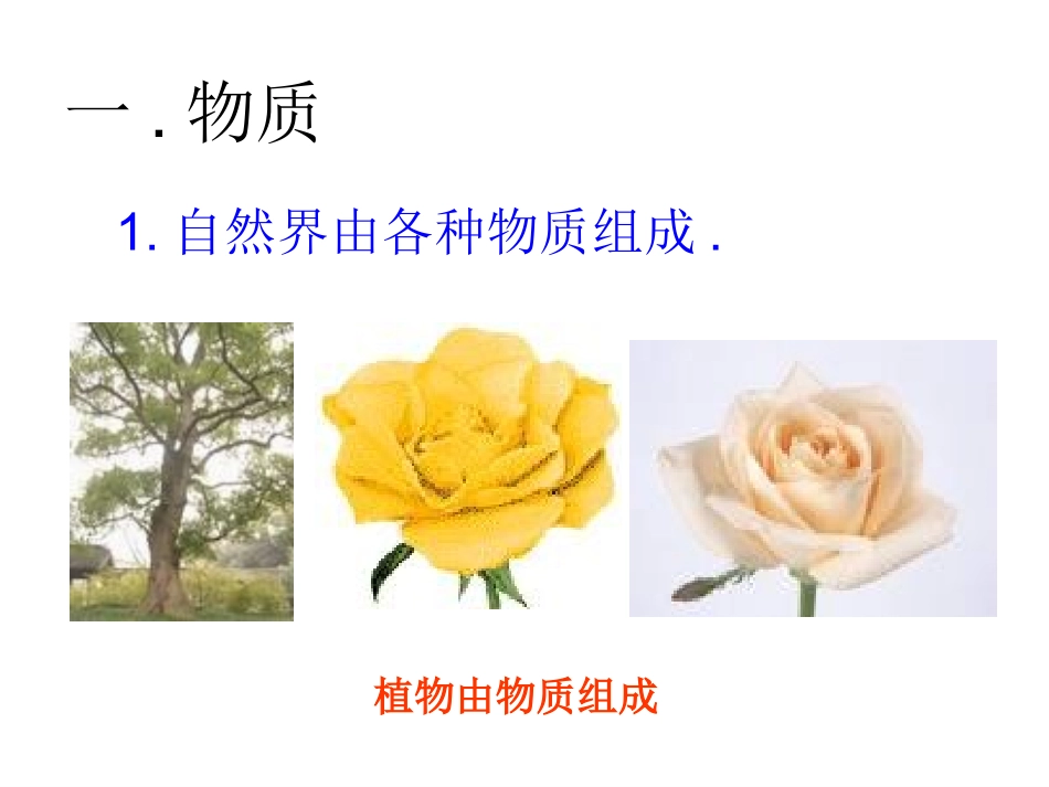 几个重要的科学概念-1课时_第2页