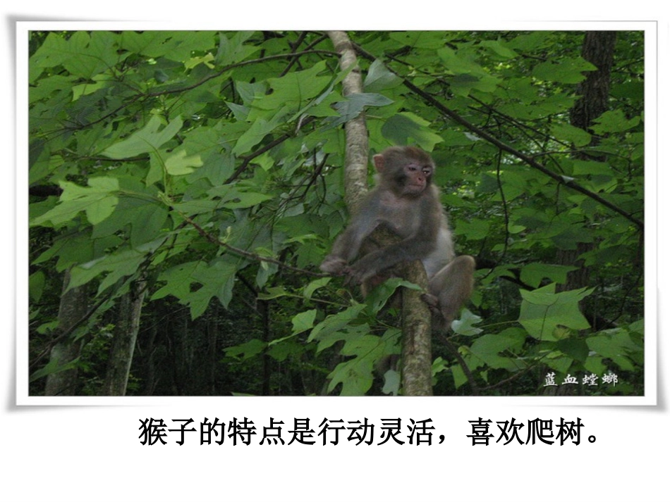 从现在开始课_件_第3页